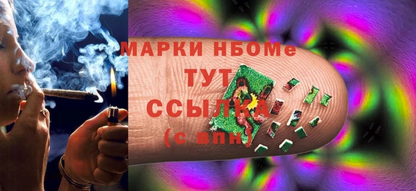прущие грибы Нязепетровск