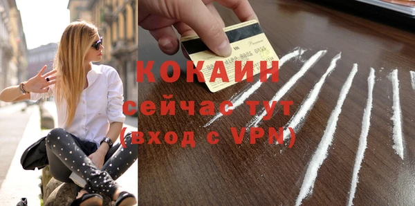 мдпв Няндома