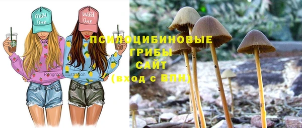 мдпв Няндома