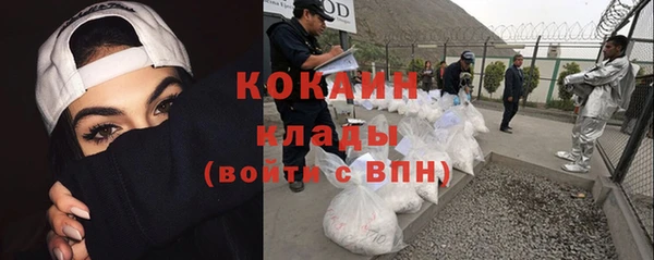прущие грибы Нязепетровск