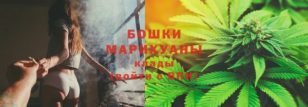 прущие грибы Нязепетровск