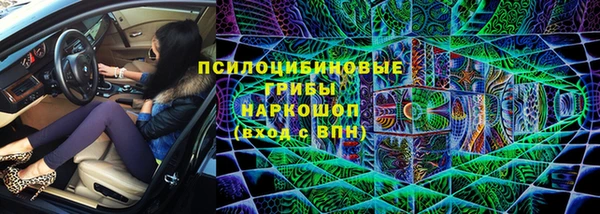 мдпв Няндома
