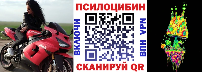 Галлюциногенные грибы Psilocybine cubensis  сколько стоит  Котельнич 